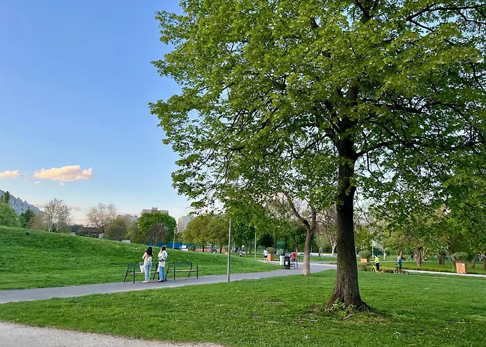 Daire Park
