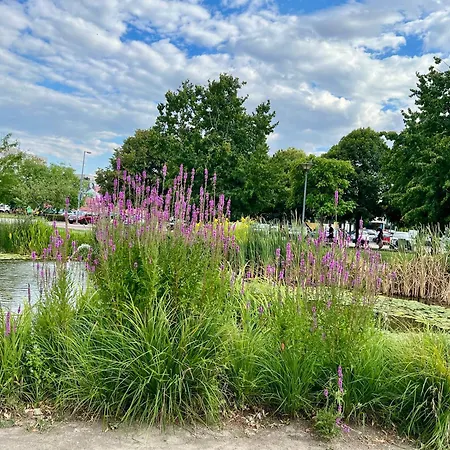 Park Lägenhet