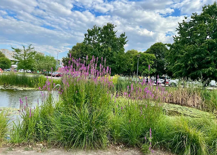 Park アパート